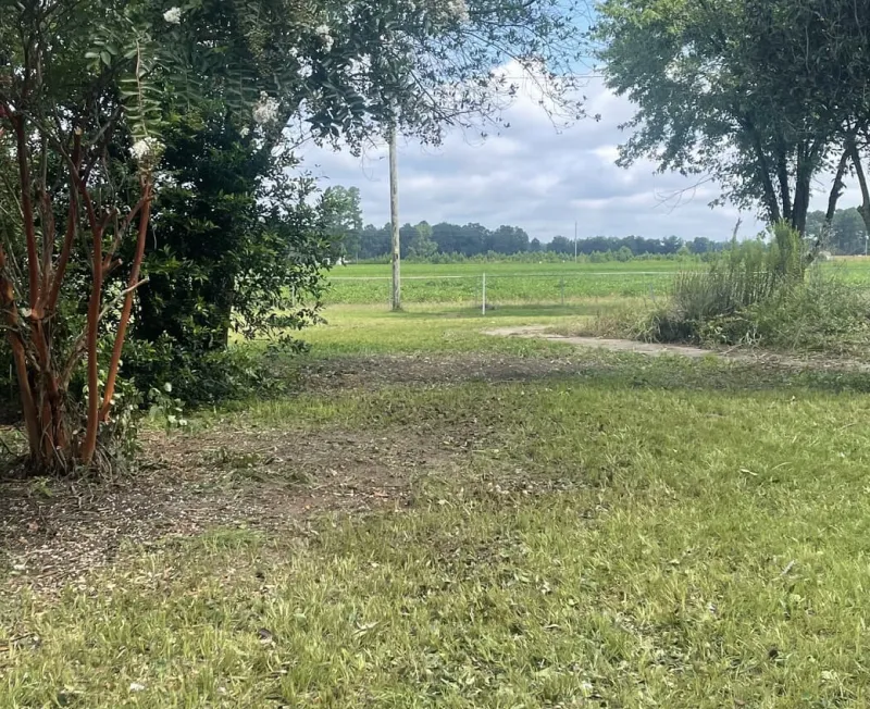 land lot clearing bottom west columbia sc