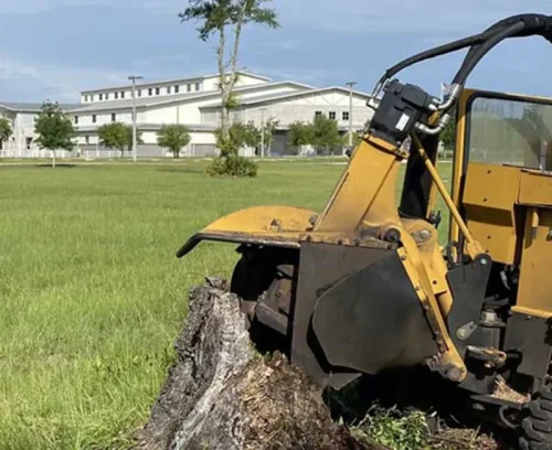stump grinding services bottom west columbia sc