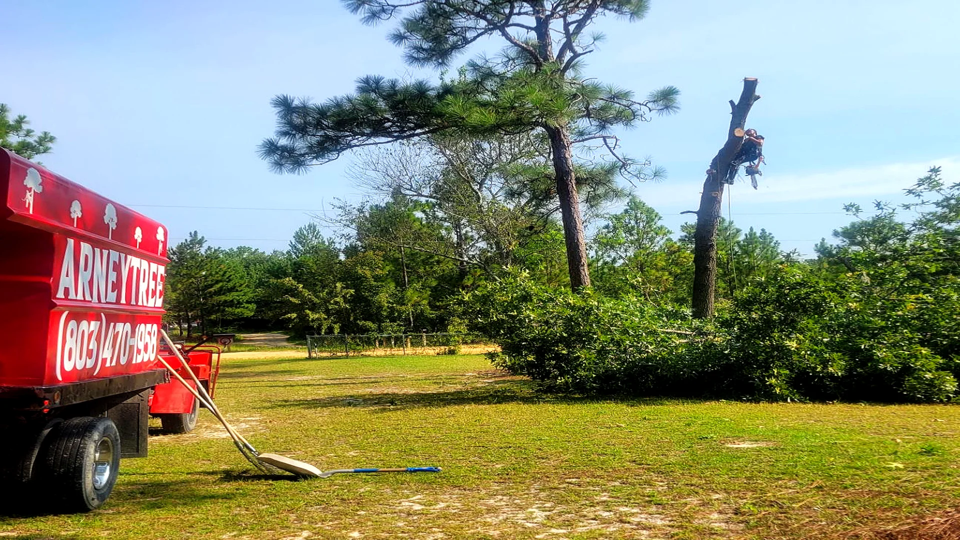 tree services hero west columbia sc west columbia sc